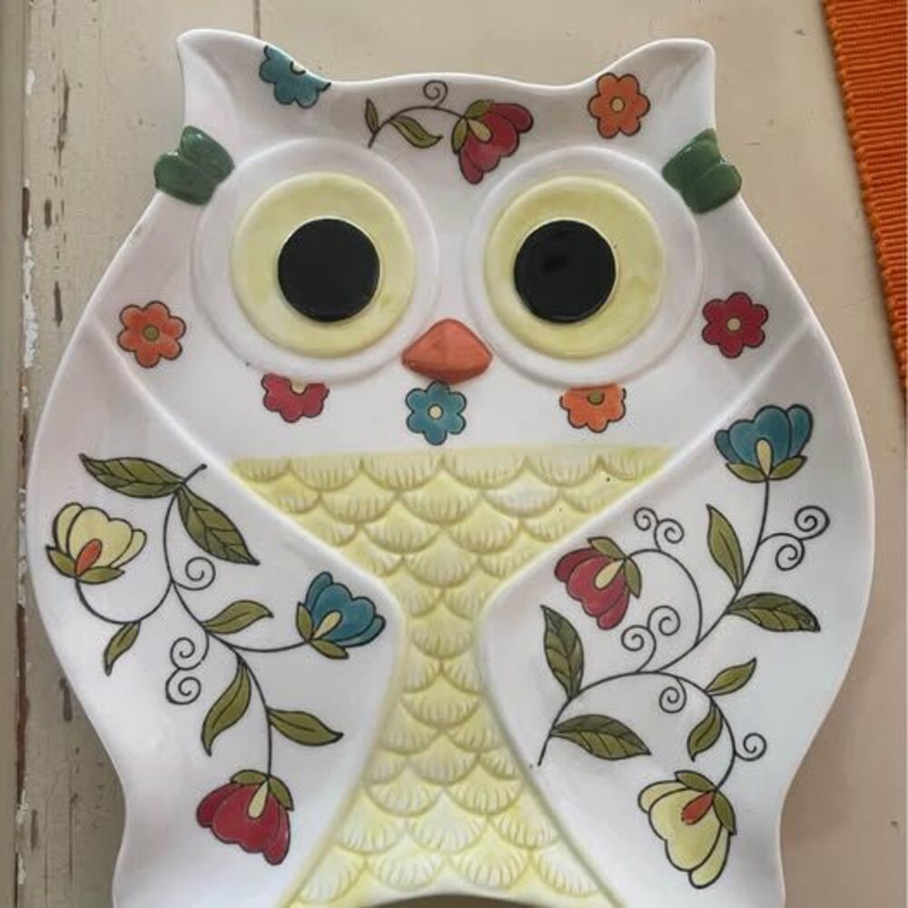 Owl Plate Platter Colorful Simply Perfect